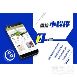 瓊中黎族苗族自治縣小程序開發(fā)公司 專業(yè)的技術服務商
